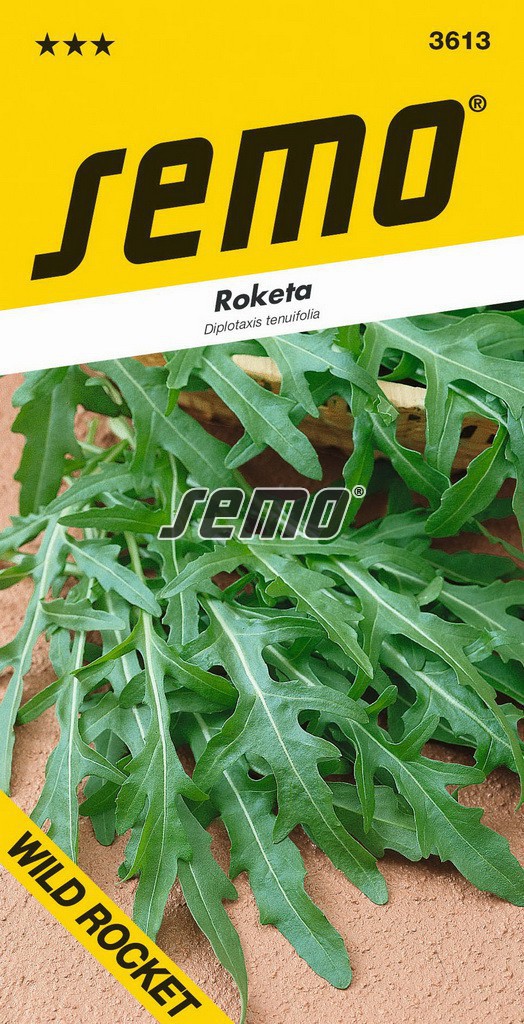 Roketa